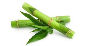 Bovine Collagen