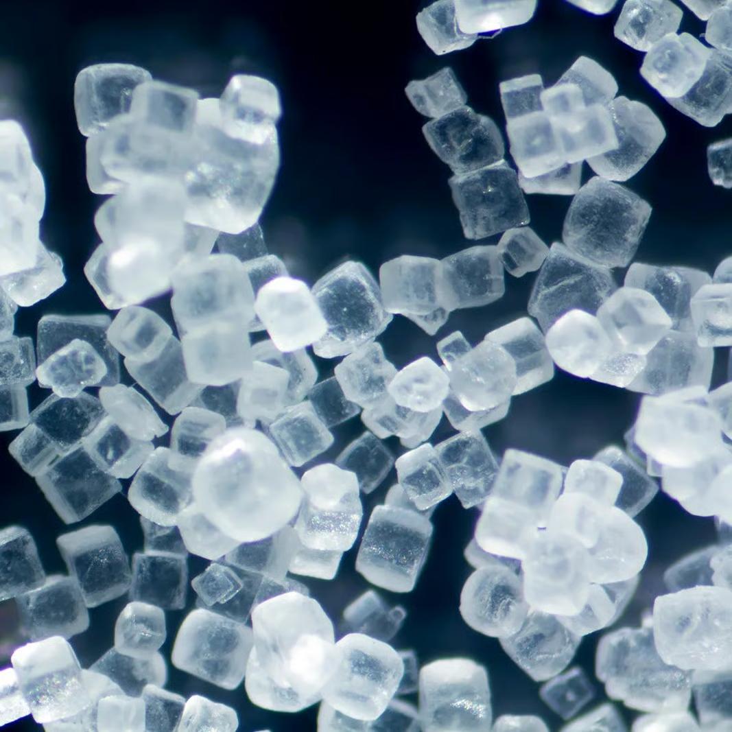 80+ Essential Minerals